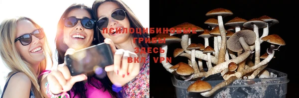 2c-b Гусь-Хрустальный
