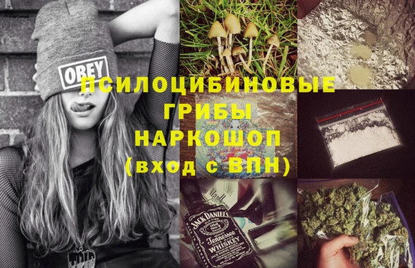 2c-b Гусь-Хрустальный