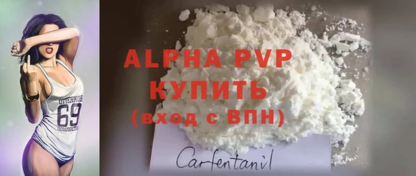 молекула духа Гусиноозёрск