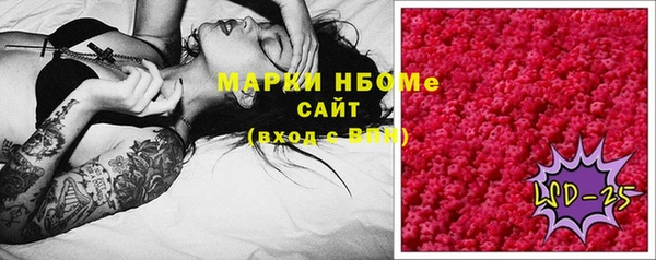 молекула духа Гусиноозёрск