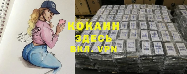 молекула духа Гусиноозёрск