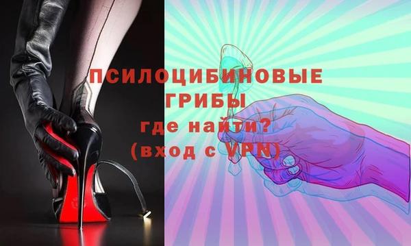 молекула духа Гусиноозёрск