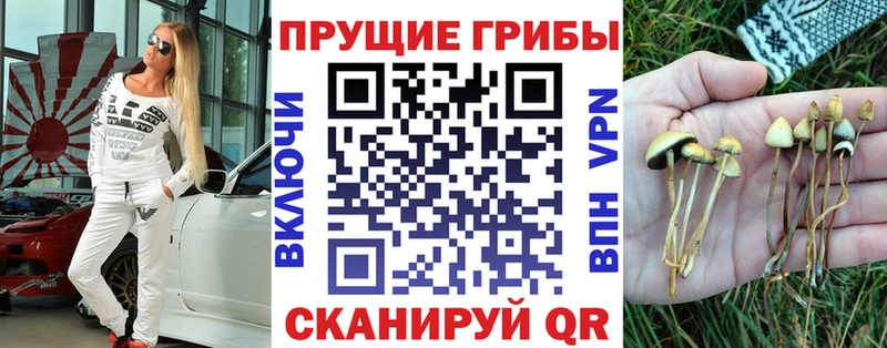 Псилоцибиновые грибы MAGIC MUSHROOMS  kraken ССЫЛКА  Серпухов 